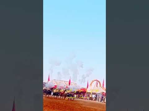 أغنية مجموعة السهام عودي يا عودي