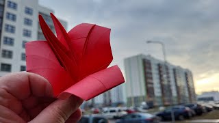 Лобелия. Оригами цветы (Екатерина Шумакова) / Lobelia. Origami flowers (Ekaterina Shumakova)