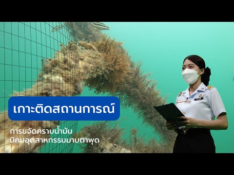 #เกาะติดสถานการณ์4 ฉก.กร.642 เก็บตัวอย่างทรายและสำรวจสิ่งมีชีวิตใต้ทะเล