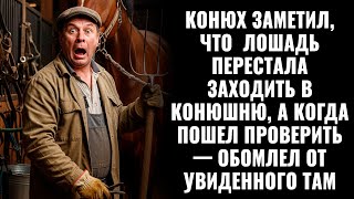 видео: Конюх заметил, что лошадь перестала заходить в загон, а когда пошел проверить — похолодел от ужаса картинка: Конюх заметил, что лошадь перестала заходить в загон, а когда пошел проверить — похолодел от ужаса