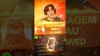 Meow or Miau ?🤔 Phonk / Funk Song | Best tiktok 2026 May Part113 #phonk #funk #memes