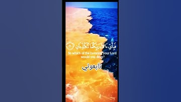 سورة الرحمن الشيخ ياسر الدوسري