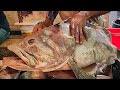 Amazing Cutting Skills - Giant Grouper Fish Cutting By Expert Fish Cutter