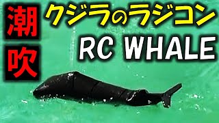 パパむうとが製作した「鯨」のラジコンです。 楽しい雰囲気が伝わったら幸いです。 新作を作る励みになるのでチャンネル登録をお願いします!...