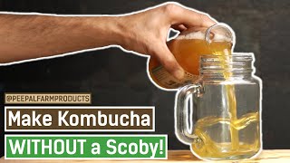 Celebrity How to make Kombucha WITHOUT a Scoby | Kombucha Homemade Recipe | Healthy Probiotic Drink | DIY Wealth