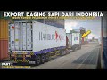 Convoy Truck Beruatan Daging Sapi EXPORT Dari Indonesia ❗❗❗ - Part 2