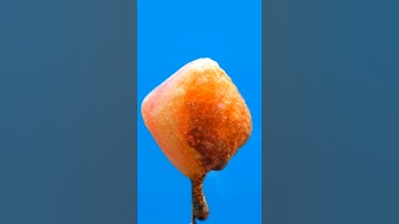 Burning Chewing gum #shorts #asmr #macro #macrovideo #closeup #experiment #satisfying