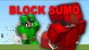 The Block Sumo Experience