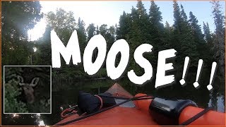Kayak Camping Isle Royale with Son Aug 2019