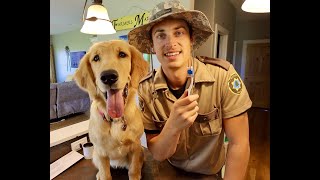 Funny Puppy Teya & Ranger Rick Morning routine!