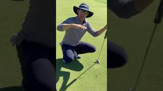 Best Way to Take Care of TPCC Greens