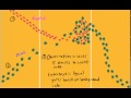 Observations Versus Inferences In Scientific Investigation