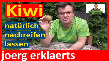 Wie lange brauchen Kiwis zum reifen?