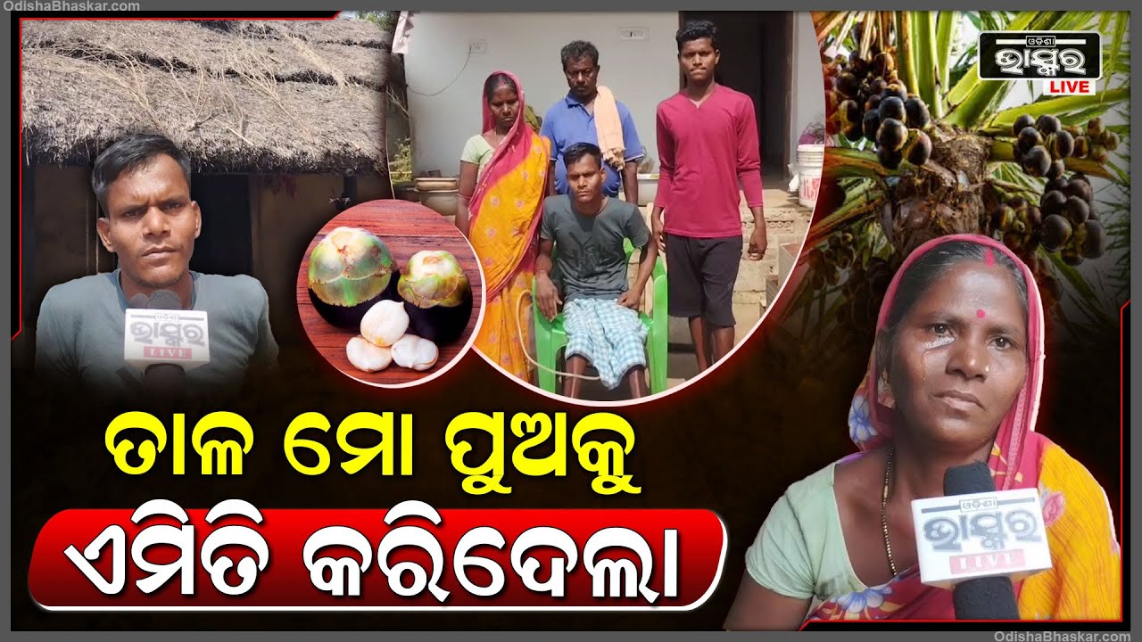ତାଳ ପାଇଁ ମୋ ପୁଅର ଅବସ୍ଥା ଏଭଳି ହୋଇଗଲା... ଦୀର୍ଘ ୪ ବର୍ଷ ହେଲା ଶଯ୍ୟାଶାୟୀ ହୋଇପଡିଛି ଭେଣ୍ଡିଆ ପୁଅ