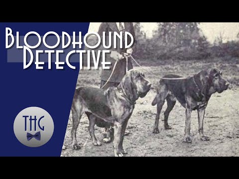 Nick Carter, the Bloodhound Detective