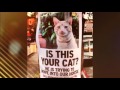Funny Signs Compilation!