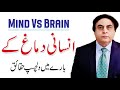Facts about human brain  psychology  nervous system  dr khalid jamil