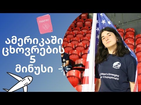 ამერიკაში ცხოვრების მინუსები