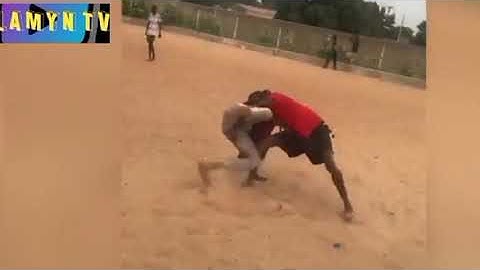 La copie du combat MODOU LO EUMEU SENE, beurré bou nékh