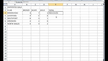The SUM function in Excel 2007