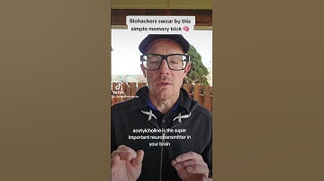 The secret to a razor sharp working memory Primalbrainhacks.substack.com