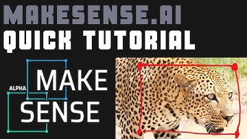 How To Use makesense.ai [Quick Video]