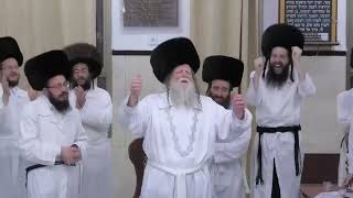 מוצאי יום כיפור תשפ"ד במודז'יץ - סלח נא, ארשת, מכלכל חיים, קדשינו
