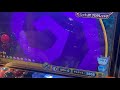 【メダルゲーム実機配信】ホリアテール中毒2nd season【ゲームセンター】