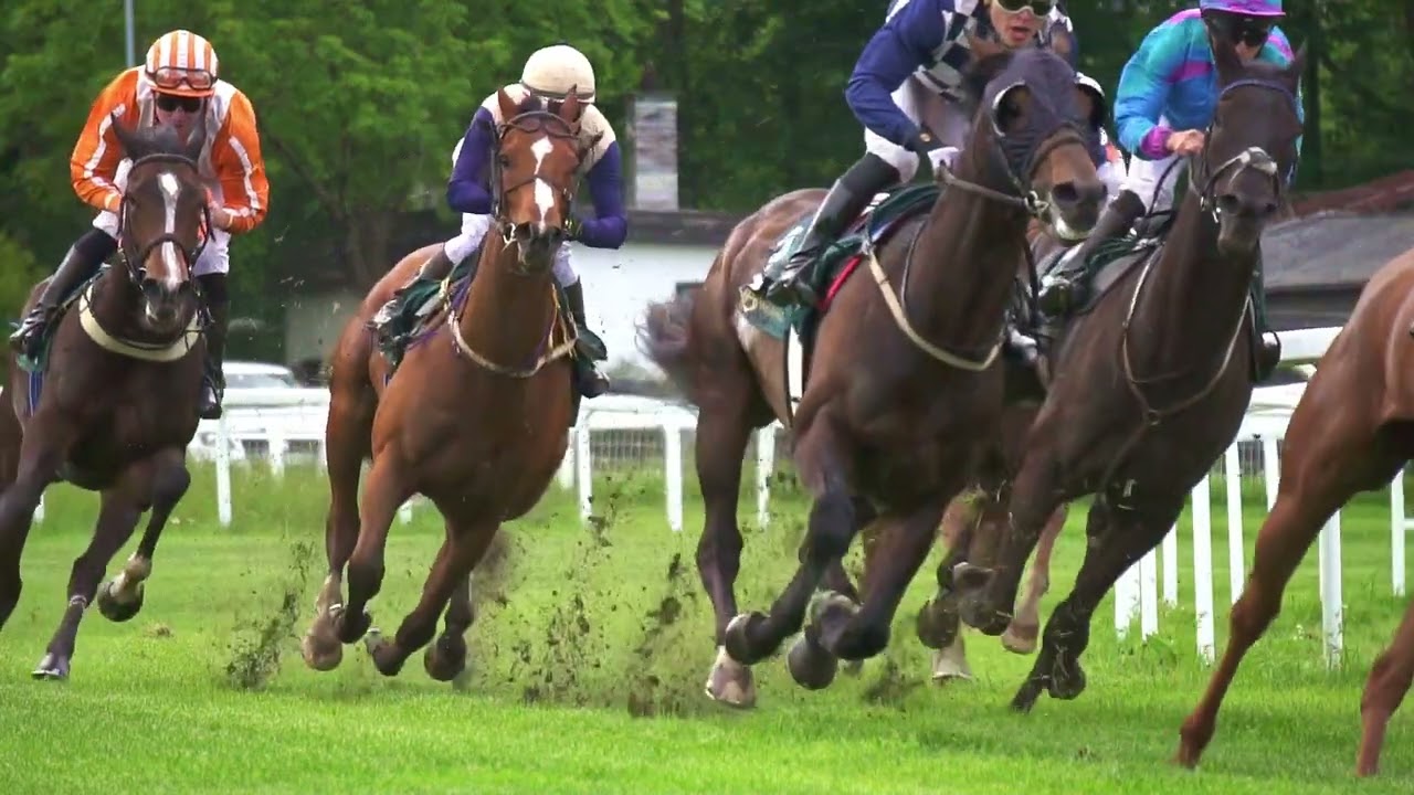 Øvrevoll Galopp løpsdag 09.06.2022. Løp #3 kl. 18:40, THEA STEENS MINNEFOND LØP (1730gr)