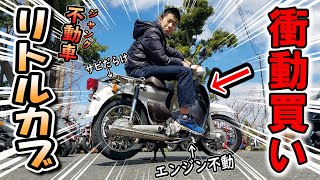 リトルカブ 衝動買い しちゃいました！【湘南ジャンクヤード】中古バイク 不動車