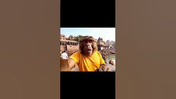 Moneky vlogging in varanasi ghat | #trending #funny #google #monkey #googleveo3 #varanasi