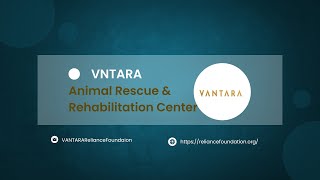 Inside Story of Vantara