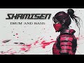 The Book of Five Rings : 三味線 x TechStep フュージョン