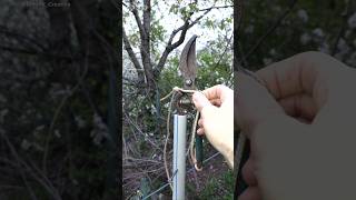 Ağaç Budama İçin Harika Kendin Yap Bahçe Aleti Çecilik