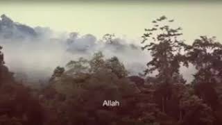 Nasyid Sifat 20 - Kumpulan Nada Murni