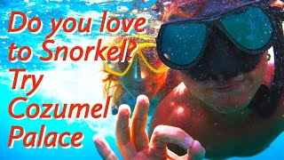Do you love to snorkel? Check out Cozumel Palace