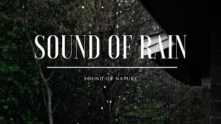 Sleep in the tent on a rainy night | Bruit de pluie pour dormir | Relaxing and soothing for sleeping by SOUND OF NATURE 43 views 2 years ago 1 hour, 8 minutes