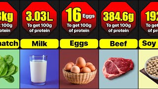 What Does 100g Of Protein Looks Like In Different Foods