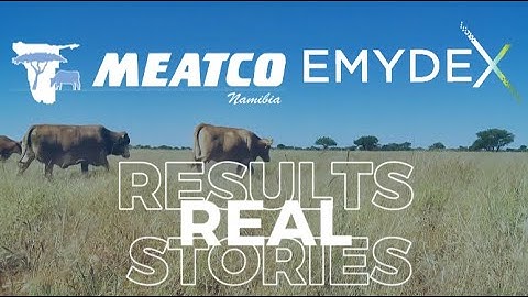 Emydex & MeatCo | Powerful Software, Measurable Results