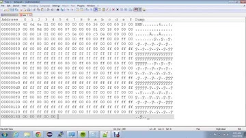 Making a BMP file using Hexadecimal Code.