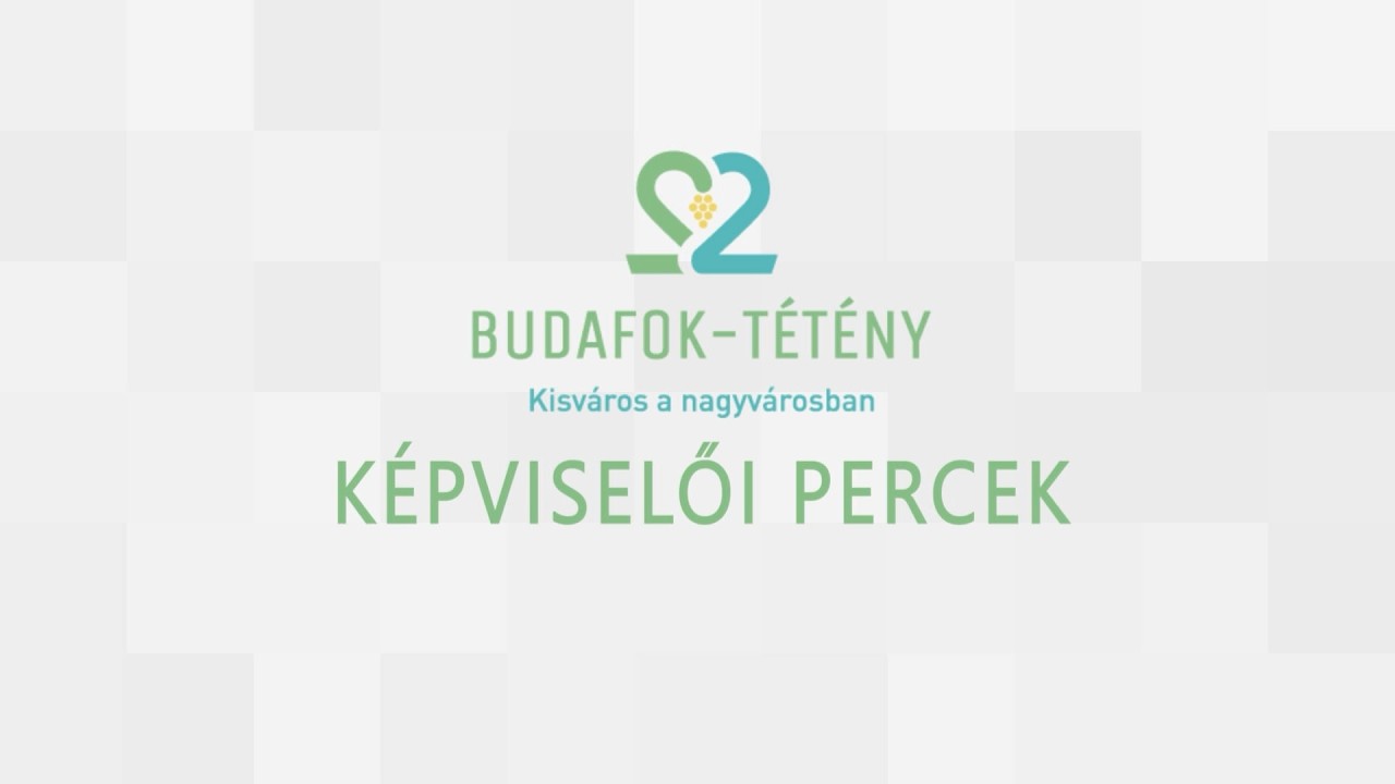 Képviselői percek - Pajin Bálint György - 2026.02.10.