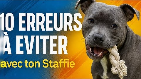 ⚠️ Les 10 Erreurs à ÉVITER avec un Staffie ⚠️ Ne fais PAS ça avec ton Staffordshire Bull Terrier 🐾