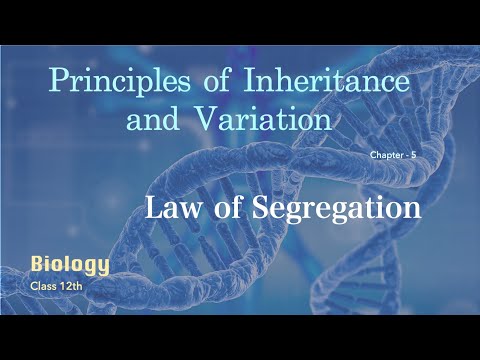 B5.6  पृथक्करण का नियम - law of segregation ||  Principle of Inheritance & Variation