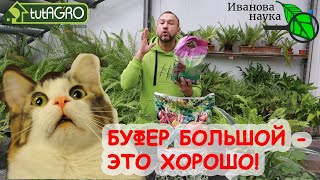 Пятый элемент идеального грунта! Увеличиваем буферность и ёмкость почвы. Дешево и очень эффективно.