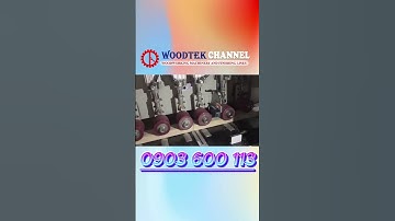 MÁY PHAY CẮT KHUYẾT TẬT SM 244 - Máy cưa cắt chọn lọc - Máy phay cắt loại bỏ mắt gỗ