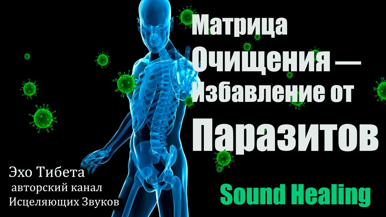 Original Sound Matrix “Energy Detox” | Immune Support & Body Cleansing