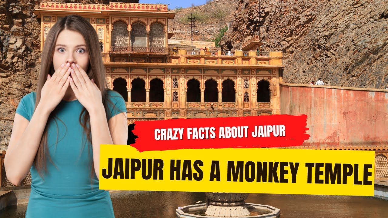 Amazing Facts About Jaipur: Jaipur Has a Monkey Temple