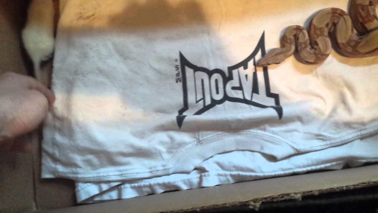 camera iphone 8 plus apk Hypo het albino Boa feeding live