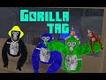 Playing VR Games - Gorilla Tag