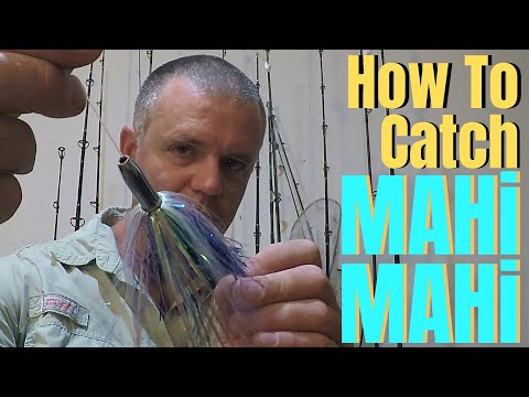 How To Catch MAHI MAHI | Dolphin Fishing Basics & Tactics